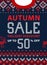 Autumn fall season sale discount banner. Scandinavian sweater.