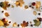 Autumn, fall texture. halloween, thanksgiving day background