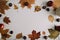 Autumn, fall texture. halloween, thanksgiving day background