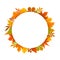 Autumn, fall, thanksgiving round circle frame