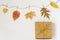 Autumn fallen leaves hang on a rope with clothespins on a light beige background and a gift craft box with a bow of twine. The con