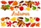 Autumn falling leaf forest mushrooms vector poster