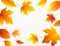 Autumn falling leaves on transparent checkered background. Autumnal foliage fall leaf flying in wind motion blur. Vector