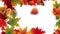 Autumn falling leaves with white background placeholder animation video