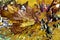 Autumn fantasies Autumn paintings with bright red berries and yellow leaves on colorful backgrounds and textures in a variety of f