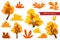 Autumn fantasy mega set of bushes and trees. Beautiful elements for web graphics, posters, postcards and banners.