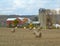 Autumn farm with round hay bales