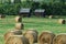 Autumn farm and straw piles