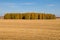 Autumn field and autumn forest