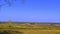 Autumn field and landscape southern Moravia