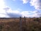 Autumn field with a metal fence of mesh with withering grass