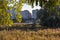 Autumn Field of Reed on City lake Shore and Modern Buildings behind arch of trees