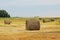 Autumn field and straw piles