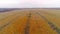 Autumn fields with quadcopter, flying drone
