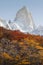Autumn in Fitz Roy Moutain, Patagonia, El Chalten - Argentina