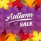 Autumn flash sale vivid color forest leaves