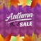 Autumn flash sale vivid color seasonal leaves