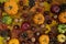 Autumn flat lay composition with pumpkins and fall leaves.