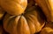 Autumn flat pumpkin close-up background pattern orange natural base