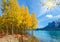 Autumn flood of Abraham lake