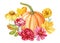 Autumn flora. Pumpkin, flowers, leaves, mushroom on isolated background, watercolor botanical illustration, hand drawing