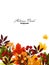 Autumn floral background of autumn leaves with flower and berries