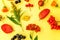 Autumn floral composition. Plants viburnum rowan berries dogrose fresh flowers colorful leaves isolated on yellow background. Fall