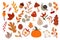 Autumn Floral Set Featuring Vibrant And Warm-toned Leaves, Berries, Mushrooms And Branches. Snail, Pumpkin
