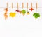 Autumn flower, maple leaves, berries rose hips, hop cones and physalis on white background