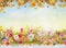 Autumn flowers background with white wooden terrace, blue sky and golden foliage