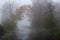 Autumn fog on the river
