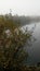 Autumn, fog, silver and gray sky, reflections of trees in the lake, magical place.