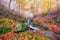 Autumn foggy forest stream in the mountain canyon