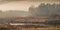 Autumn foggy landscape. panoramic view of the overgrown river with coastal reeds and trees in the morning twilight haze