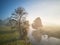 Autumn foggy sunrise. Fall rural scene. Small river with trees