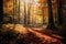 Autumn foggy woods with sun light and beautiful Fall foliage colors.