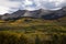 Autumn foilage near Crested Butte Colorado on Kebler Pass Rd.