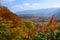 Autumn foliage in Aomori, Japan