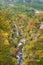 Autumn foliage on the cliff