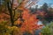 Autumn foliage at Eikando Temple