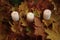 Autumn foliage with flickering flame of candles