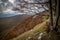 Autumn foliage on the Italian mountains