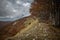 Autumn foliage on the Italian mountains