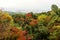 Autumn foliage with Kyoto skyline at Fushimi Inari