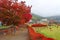 Autumn foliage at Maple corridor in Kawaguchiko