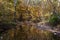 Autumn foliage reflected in a creek at Cuivre River State Park near Troy, Mo