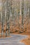 Autumn in Forca D`Acero, Abruzzo National Park, Italy