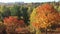 Autumn forest aerial view. Beautiful colorful seasonal foliage. Huge beautiful autumn city park and buildings on the
