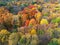 Autumn forest aerial view. Multicolored fall trees in city park. Beautiful colorful seasonal foliage. Autumnal vibrant riot of