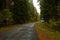 Autumn in the forest asphalt road with a parking and forbidden  to stand signs